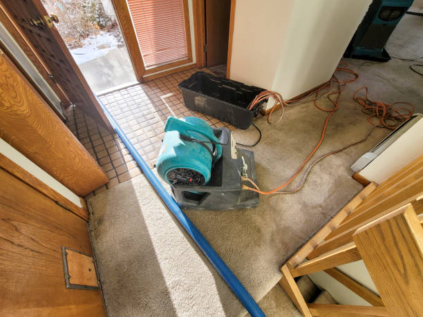  China Grove, TX Water damage restoration Pros