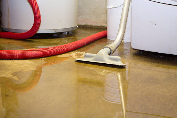 Best Carpet water damage restoration  in China Grove, TX