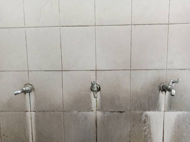 Best Water damage restoration near me  in China Grove, TX