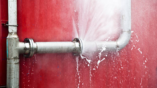 Best Professional water damage repair  in China Grove, TX